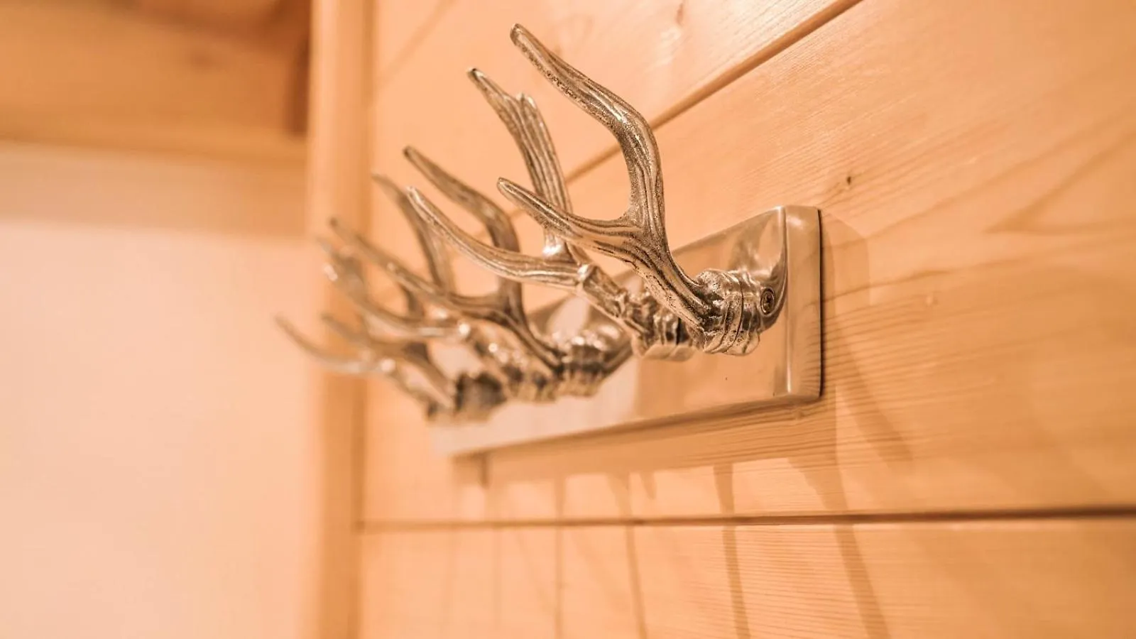 Chalet Isabelle Chamonix